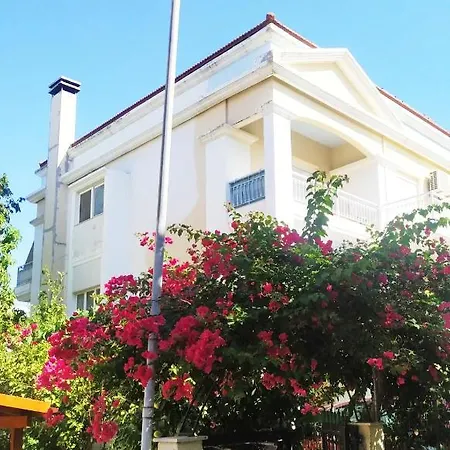 Nest & Parking