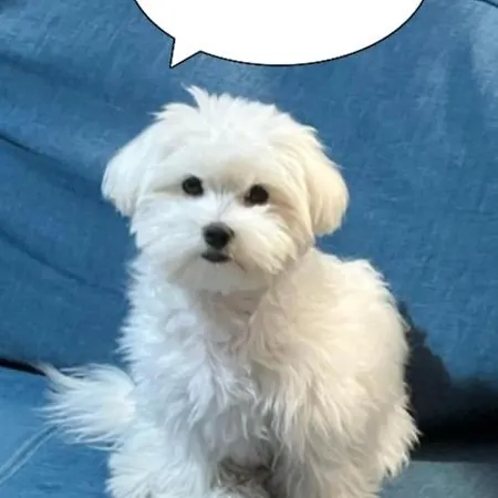 Appartamento Nest & Parking *