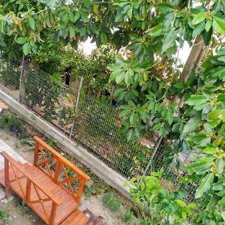 Apartmán Nest & Parking Ialysos (Rhodes)